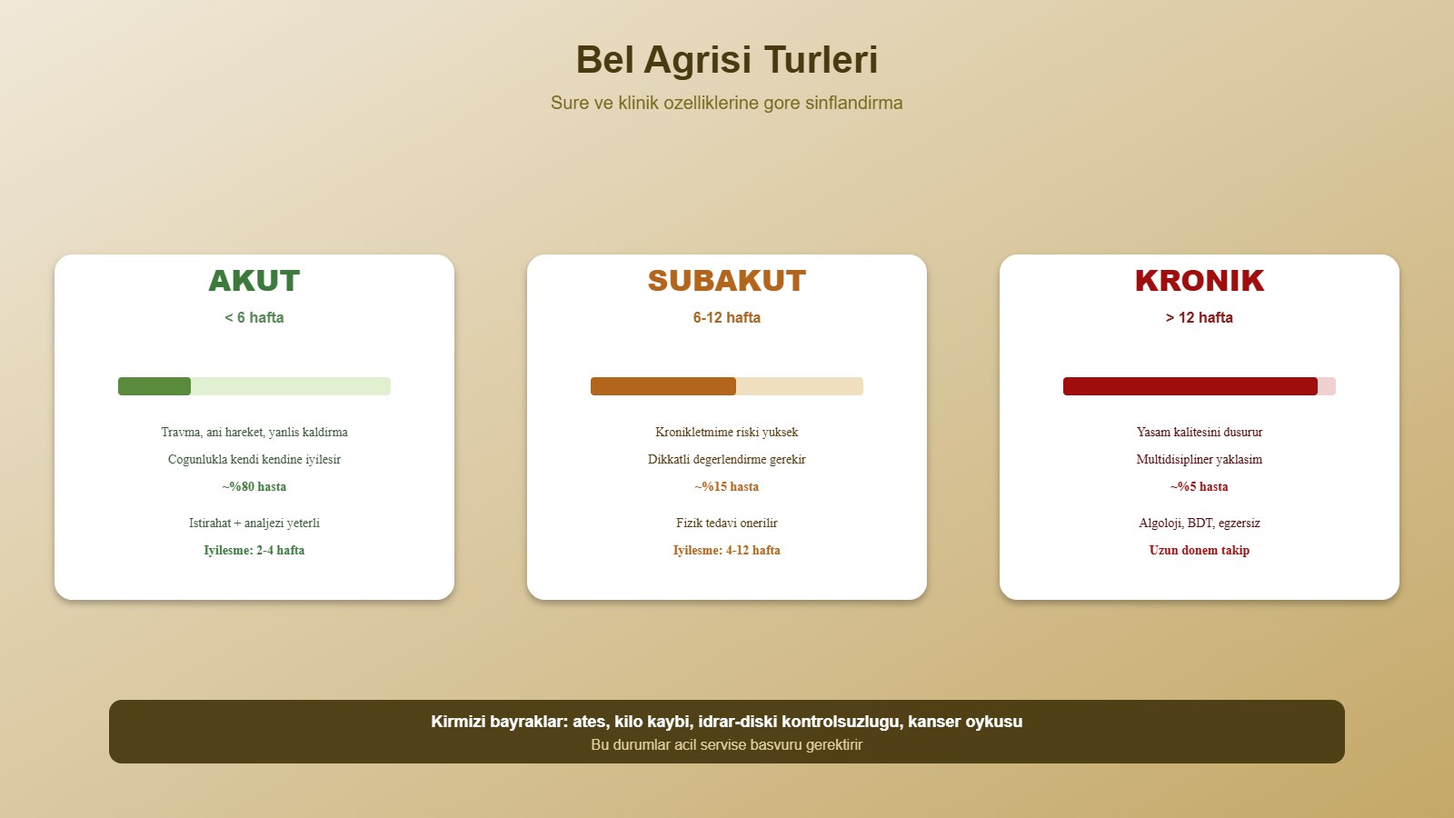 Bel Ağrısı Neden Olur? Yaygın Nedenler ve Tedavi Rehberi 1 Bel ağrısı türleri: akut, subakut ve kronik formları
