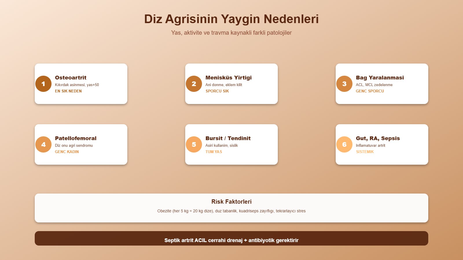 Diz ağrısının 6 yaygın nedeni: osteoartrit, menisküs, bağ yaralanması, patellofemoral, bursit, gut