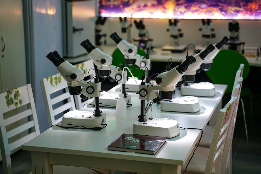 Lökosit Nedir? Yüksek ve Düşük Lökosit Değerleri Anlamı 1 Beyaz kan hucresi mikroskop inceleme